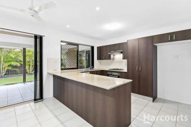 House Leased - QLD - Urraween - 4655 - Modern Family Home with Solar  (Image 2)