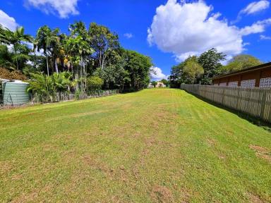 Residential Block For Sale - QLD - Mareeba - 4880 - MULTI USE BLOCK CLOSE TO TOWN READY TO BUILD ON  (Image 2)