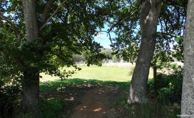 Residential Block Sold - NSW - Majors Creek - 2622 - Picturesque Village Location!  (Image 2)