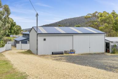 House Sold - TAS - Eaglehawk Neck - 7179 - Family home with all the Extras At Eaglehawk Neck  (Image 2)