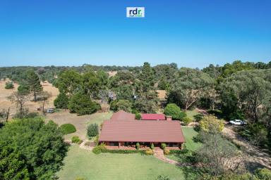 Acreage/Semi-rural Sold - NSW - Inverell - 2360 - KING OF THE CASTLE AT "CAMELOT"  (Image 2)