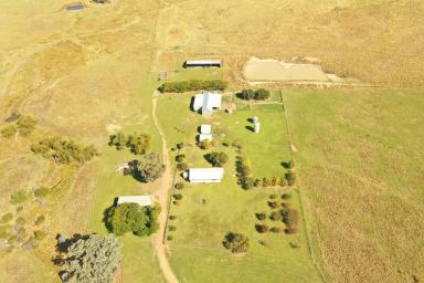Mixed Farming For Sale - NSW - Koorawatha - 2807 - Get Your Start Right Here  (Image 2)