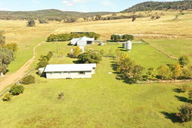 Mixed Farming For Sale - NSW - Koorawatha - 2807 - Get Your Start Right Here  (Image 2)