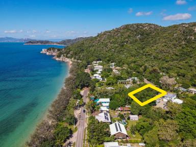Other (Residential) For Sale - QLD - Arcadia - 4819 - Perfect Island Location - Restaurant/Catering Opportunity  (Image 2)