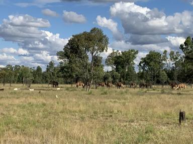 Mixed Farming For Sale - QLD - Charleville - 4470 - 325 acre Lifestyle block/ Charleville Queensland  (Image 2)