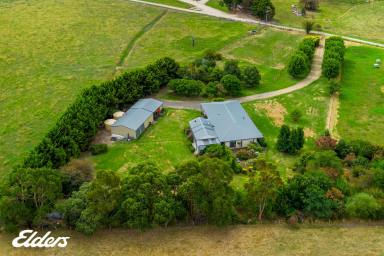 Farmlet Sold - VIC - Calrossie - 3971 - COUNTRY HAMPTON HOME ON 5 ACRES  (Image 2)
