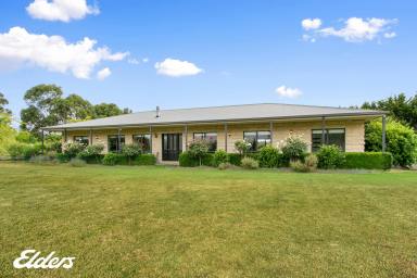 Farmlet Sold - VIC - Calrossie - 3971 - COUNTRY HAMPTON HOME ON 5 ACRES  (Image 2)