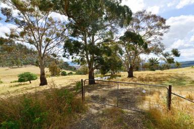 Residential Block For Sale - TAS - Black Hills - 7140 - Views to Dream For  (Image 2)