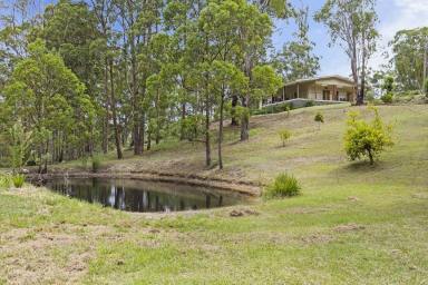 Acreage/Semi-rural Sold - QLD - Ravensbourne - 4352 - ESCAPE FROM THE CITY TO THE BEAUTIFUL HIGH  COUNTRY OF RAVENSBOURNE.  (Image 2)
