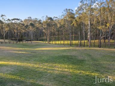 Lifestyle Sold - NSW - North Rothbury - 2335 - A RARE GEM IN HANWOOD ESTATE  (Image 2)