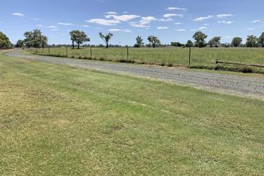 Other (Rural) For Sale - NSW - Dubbo - 2830 - Location, Land & Lifestyle  (Image 2)