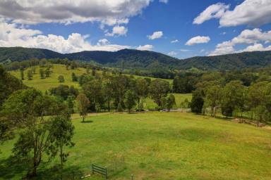 Residential Block For Sale - NSW - Krambach - 2429 - “Outstanding Views, Outstanding Location"  (Image 2)
