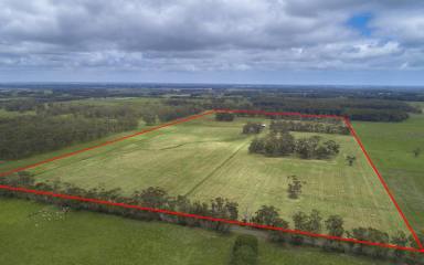 Mixed Farming For Sale - VIC - Laang - 3265 - PRODUCTIVE OUTPADDOCK & PICTURESQUE LIFESTYLE  (Image 2)