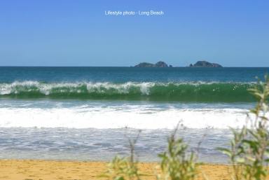 Residential Block For Sale - NSW - Long Beach - 2536 - Elevated and cleared - 939sqm  (Image 2)