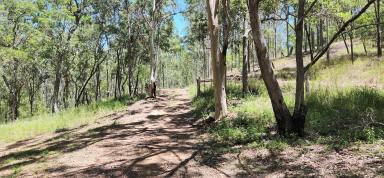Residential Block For Sale - QLD - Mount Perry - 4671 - 135 Acres with sheds and water!  (Image 2)