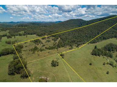 Mixed Farming Sold - NSW - Coolongolook - 2423 - RARE OPPORTUNITY FOR RURAL LIVING WITH ACCESS TO THE HIGHWAY  (Image 2)
