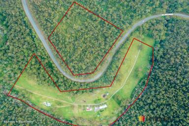 Acreage/Semi-rural Sold - NSW - Currowan - 2536 - LIVE AT ONE WITH THE WORLD  (Image 2)