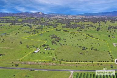 Acreage/Semi-rural For Sale - NSW - Tenterfield - 2372 - "Fairview" - Location, Views, Potential.....  (Image 2)