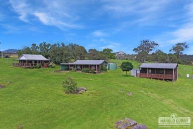 Acreage/Semi-rural For Sale - NSW - Tenterfield - 2372 - "Fairview" - Location, Views, Potential.....  (Image 2)