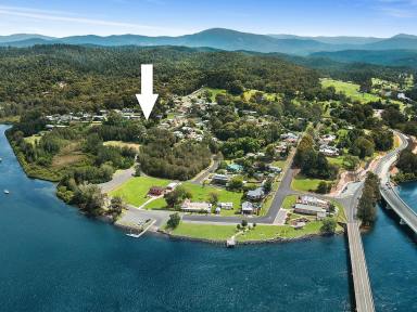 Residential Block Sold - NSW - Nelligen - 2536 - Nelligen Vacant Land  (Image 2)