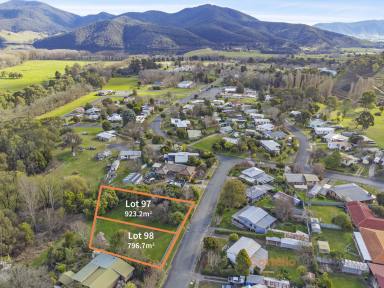 Residential Block Sold - NSW - Khancoban - 2642 - Rare Opportunity!  (Image 2)