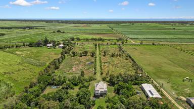 Acreage/Semi-rural Sold - QLD - Welcome Creek - 4670 - COASTAL ACREAGE WITH QUEENSLANDER CHARM AND A MASSIVE SHED!  (Image 2)