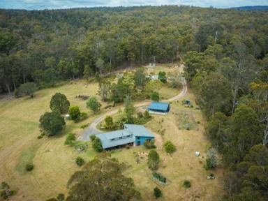 House Sold - NSW - Tanja - 2550 - TRANQUILLITY AT ITS BEST  (Image 2)
