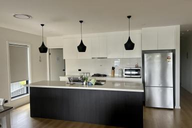 House For Lease - NSW - Long Beach - 2536 - UNFURNISHED or FULLY FURNISHED - Contemporary Home  (Image 2)