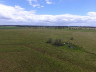 Mixed Farming For Sale - NSW - Clovass - 2480 - RURAL LAND - 130 ACRES - CLOVASS  (Image 2)