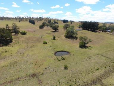 Mixed Farming For Sale - NSW - Clovass - 2480 - RURAL LAND - 130 ACRES - CLOVASS  (Image 2)