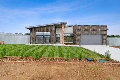 House Sold - NSW - Bungendore - 2621 - STUNNING FAMILY HOME  (Image 2)