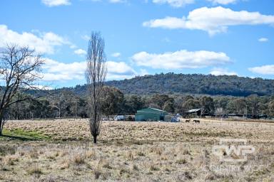 Mixed Farming Sold - NSW - Wellingrove - 2370 - Build Your Dream Home  (Image 2)