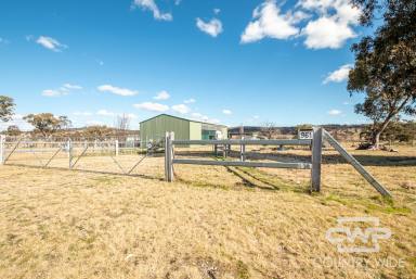 Mixed Farming Sold - NSW - Wellingrove - 2370 - Build Your Dream Home  (Image 2)