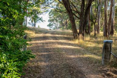 Lifestyle Sold - VIC - Strathbogie - 3666 - A Peaceful Country Haven - 13 Ha (32.11Ac)  (Image 2)