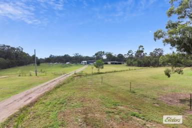 House Sold - QLD - Pacific Haven - 4659 - Imagine owning 37 acres of magnificent horse property...  (Image 2)