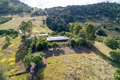House For Sale - QLD - Dagun - 4570 - Mary Valley Magic - "Glen Maggie" Homestead  (Image 2)
