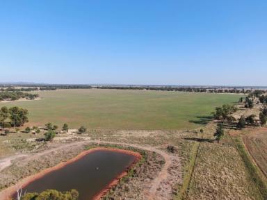 Cropping For Sale - NSW - Weethalle - 2669 - Mixed Farming Country At Weethalle  (Image 2)