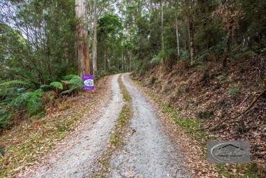Residential Block For Sale - TAS - South Forest - 7330 - 9.775 Hectares of Natural Bush with a Small Creek.  (Image 2)