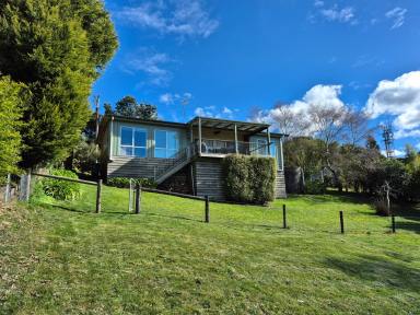 House For Sale - VIC - Beech Forest - 3237 - Nature, Lifestyle & Investment in One - Three dwellings on a single title!  (Image 2)