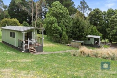 House For Sale - VIC - Beech Forest - 3237 - Lifestyle, Income & Nature Combined, Turn-Key Beech Forest Escape  (Image 2)