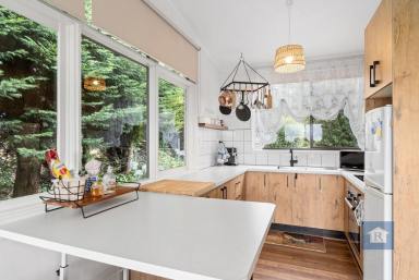 House For Sale - VIC - Beech Forest - 3237 - Nature, Lifestyle & Investment in One - Three dwellings on a single title!  (Image 2)