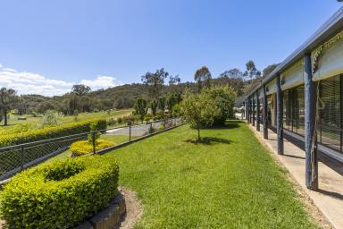 House For Sale - NSW - Tumut - 2720 - Nothing more you could ask for  (Image 2)