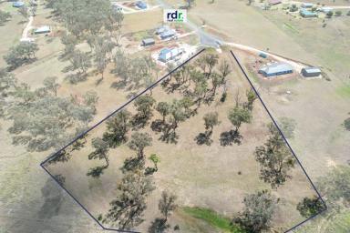 Residential Block For Sale - NSW - Inverell - 2360 - CREATE YOUR DREAM LIFESTYLE  (Image 2)