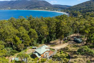 House For Sale - TAS - Eaglehawk Neck - 7179 - Private Sanctuary adjoining the rugged Tasman Sea Cliffs  (Image 2)