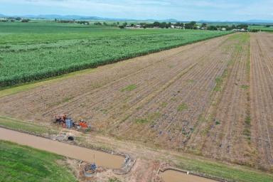 Other (Rural) For Sale - QLD - Clare - 4807 - 2  Cane Farms - Clare - Available Separately  (Image 2)