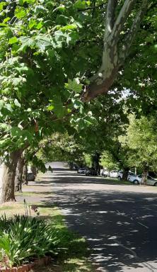 House Sold - NSW - Goulburn - 2580 - LEAFY CENTRAL LOCATION  (Image 2)