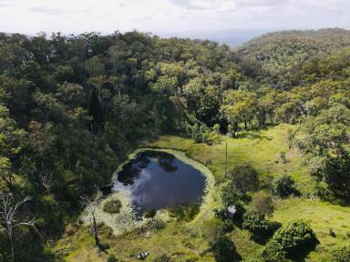 Livestock For Sale - QLD - Gaeta - 4671 - 1176 Acres of Timber and Grazing Country  (Image 2)