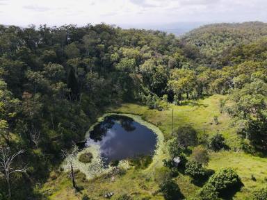 Livestock For Sale - QLD - Gaeta - 4671 - 1176 Acres of Timber and Grazing Country  (Image 2)