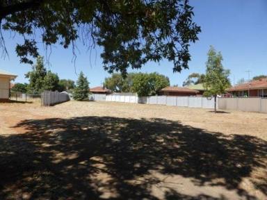 Residential Block For Sale - NSW - Parkes - 2870 - LARGE VACANT BLOCK OF 753 SQM - BUILD YOUR DREAM HOME NOW!  (Image 2)