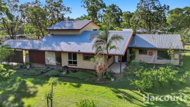 House Sold - QLD - Sunshine Acres - 4655 - Dual living on fully fenced five Acres  (Image 2)